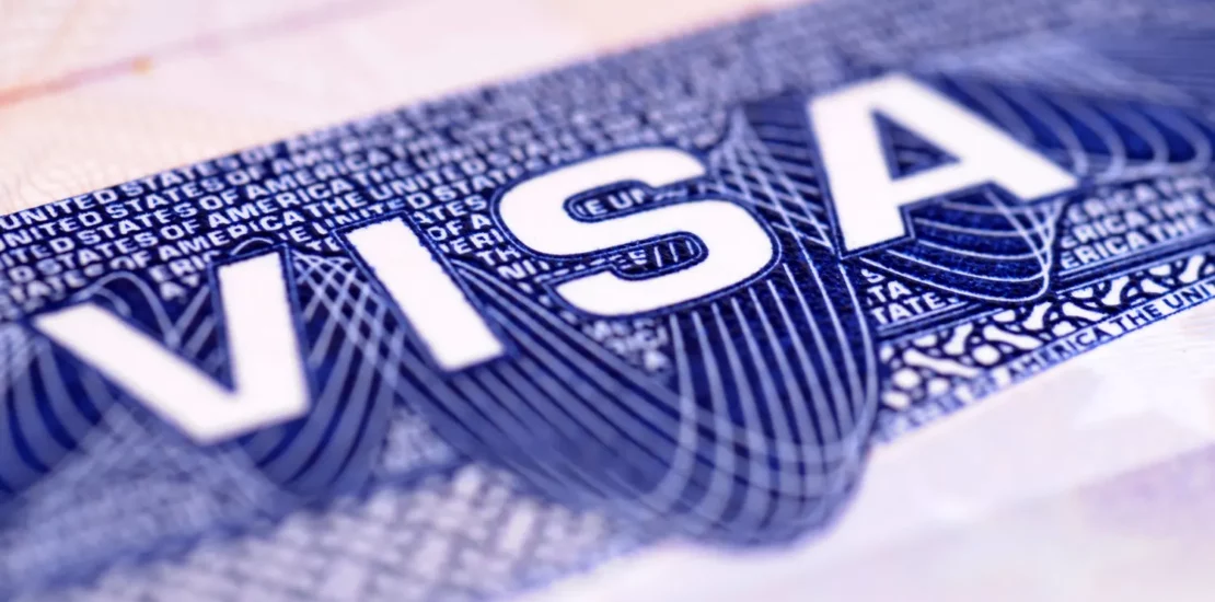 visa services by bluesky immigration