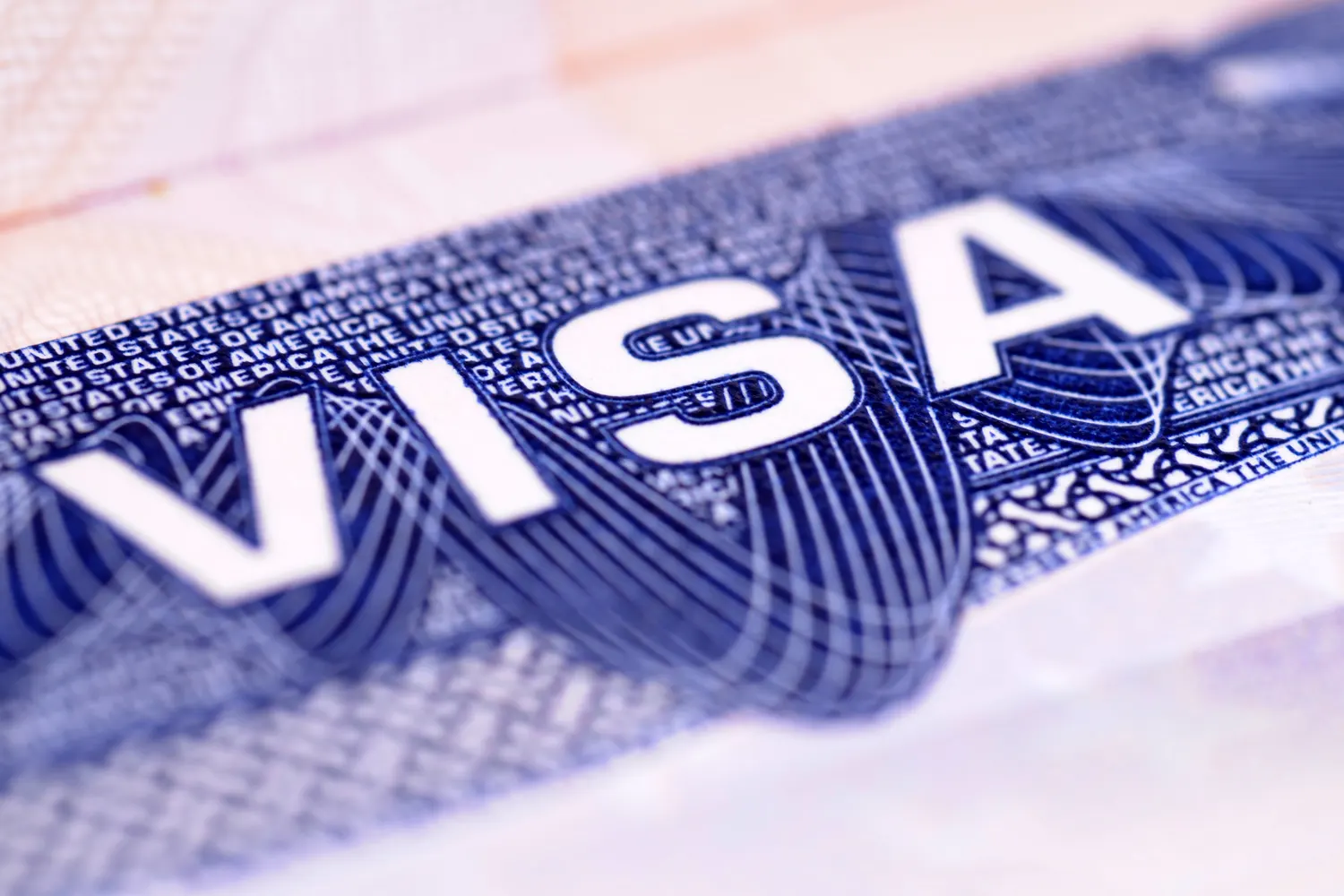 Visa Services for Individuals and Businesses | Bluesky Immigration