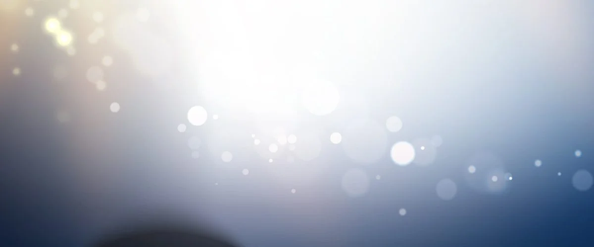 Silver Award for Notable Performance bluesky Immigration