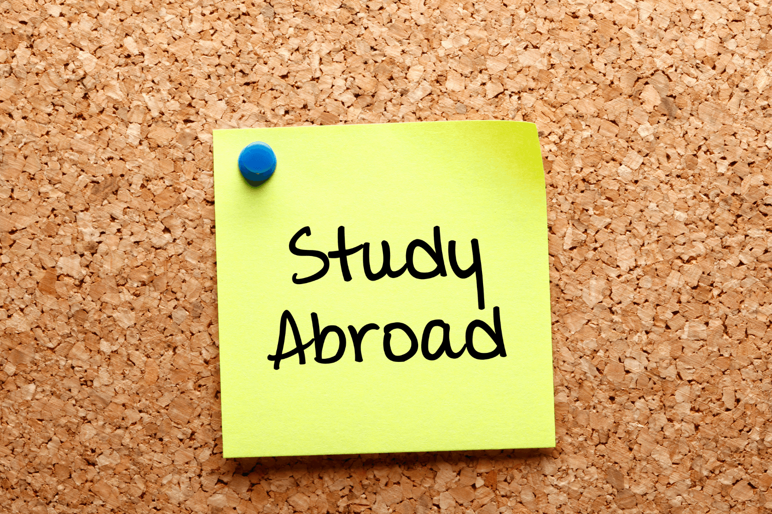 A Complete Guide to Choosing the Best Study Abroad Consultants in Yamunanagar